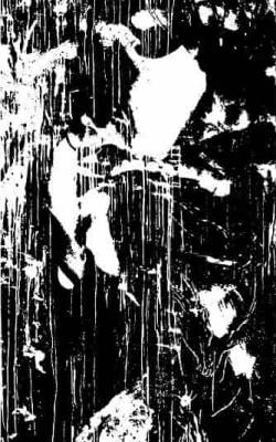 Nekrokaos : V III IV